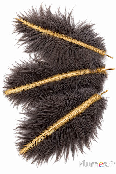 Struzzo con fine raggio dorato - 13-18 cm - grigio naturale